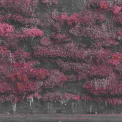 EVEN IN ARCADIA (CD)