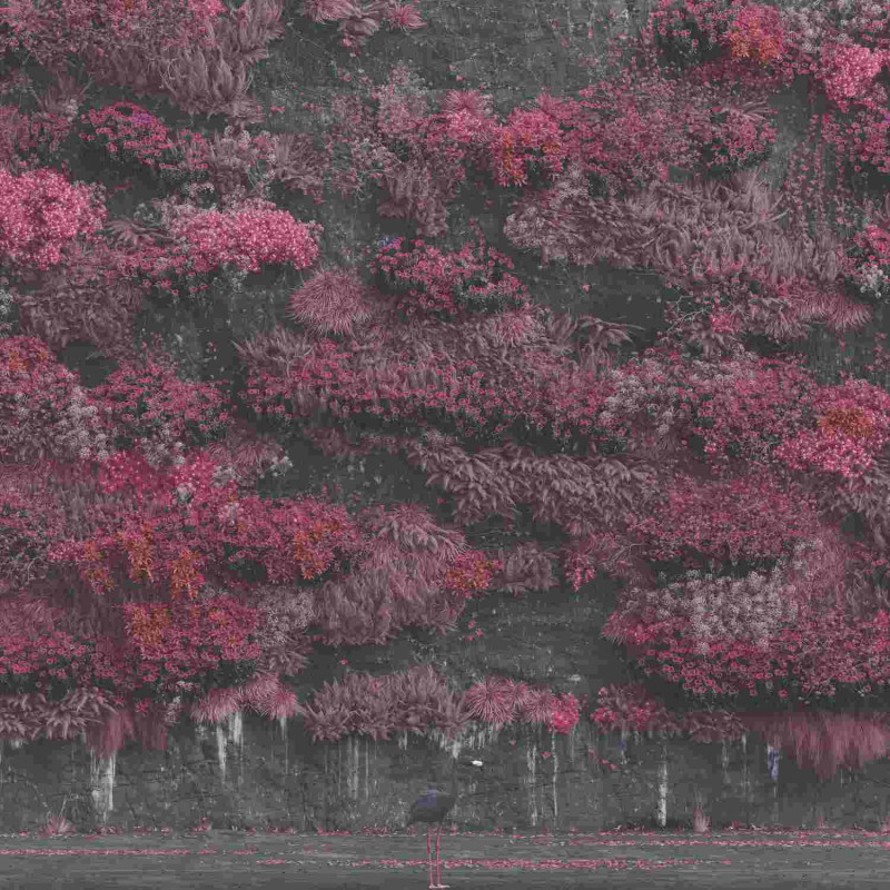 EVEN IN ARCADIA (CD)