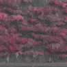 EVEN IN ARCADIA (CD)