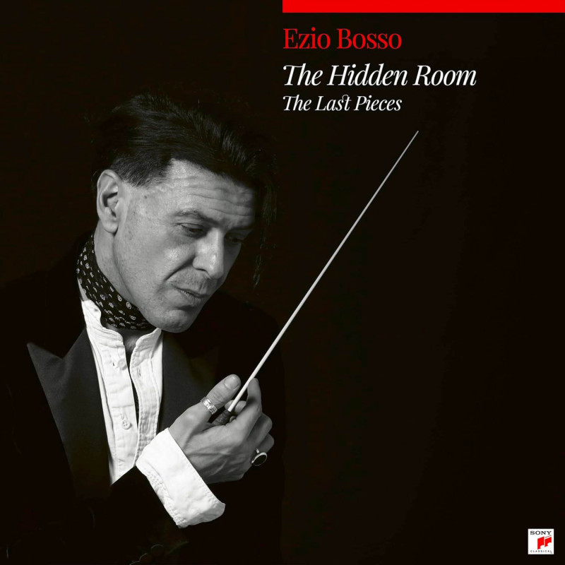 THE HIDDEN ROOM (CD)
