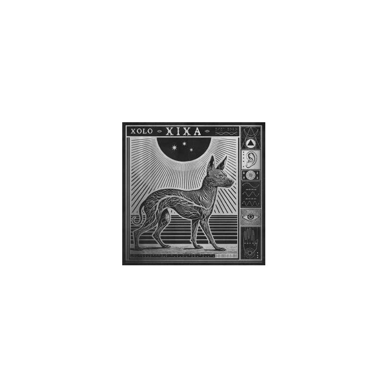 XOLO