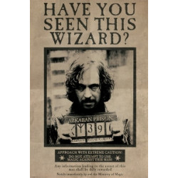 HARRY POTTER: PYRAMID -...