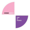 LIES IN PURPLE/WINDOWLOOKER