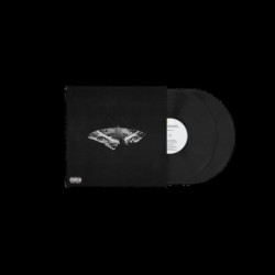 TO PIMP A BUTTERFLY  - 10...