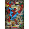 MARVEL: PYRAMID - SPIDER-MAN - RETRO (POSTER MAXI 61X91,5 CM)