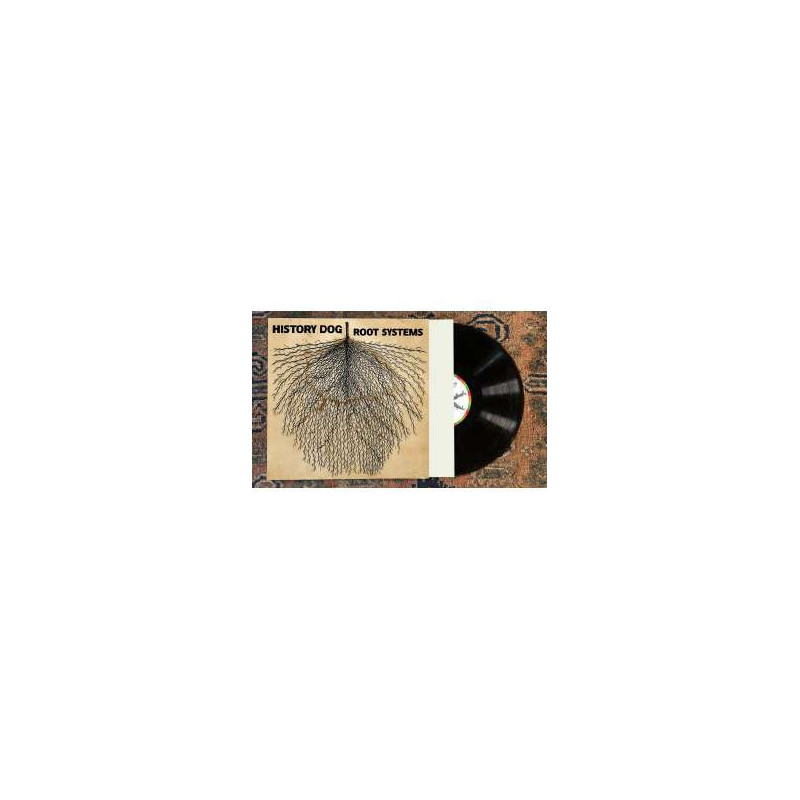 ROOT SYSTEMS