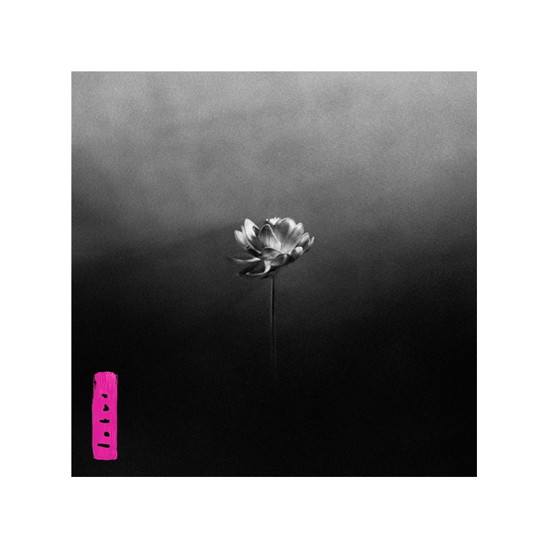 LOTUS
