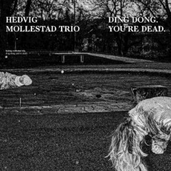 DING DONG YOU RE DEAD
