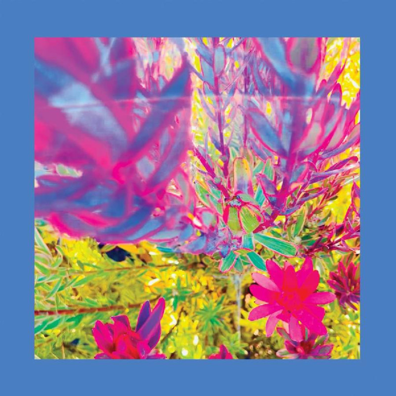 PAST IS A GARDEN I NEVER FED (NEON PINK