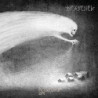 NOCTURNE