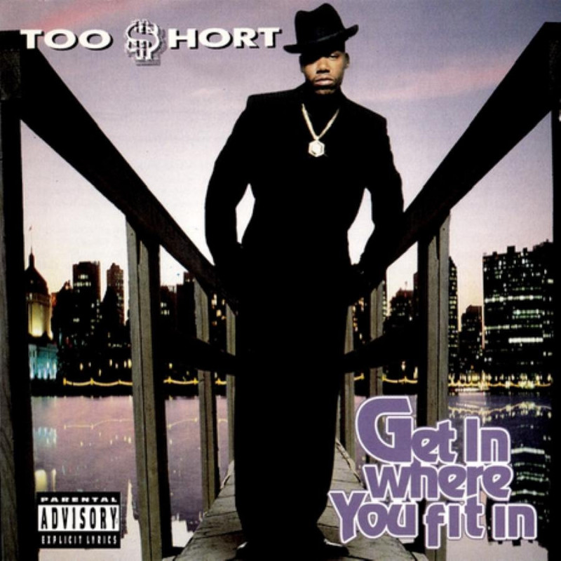 GET IN WHERE YOU FIT IN(PURPLE-IN-CLEAR
