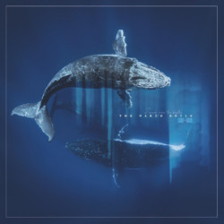 REVERB FROM THE DEPTHS