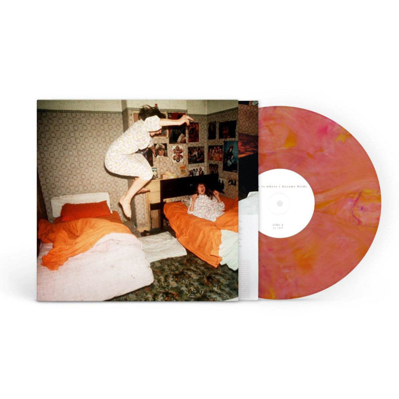 I BECAME BIRDS (GUAVA BLEND VINYL)