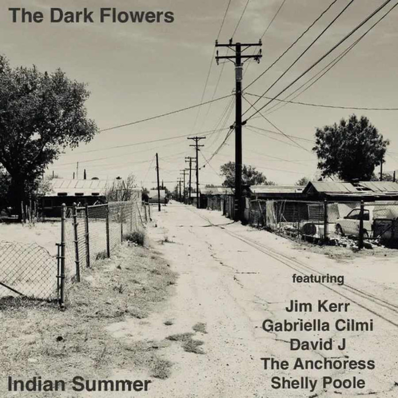 INDIAN SUMMER