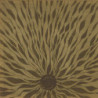 PIANO STUDIES 337