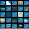 PLACES AND SPACES (UHQ)