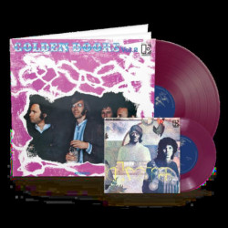 GOLDEN DOORS 2 VINYL '12...