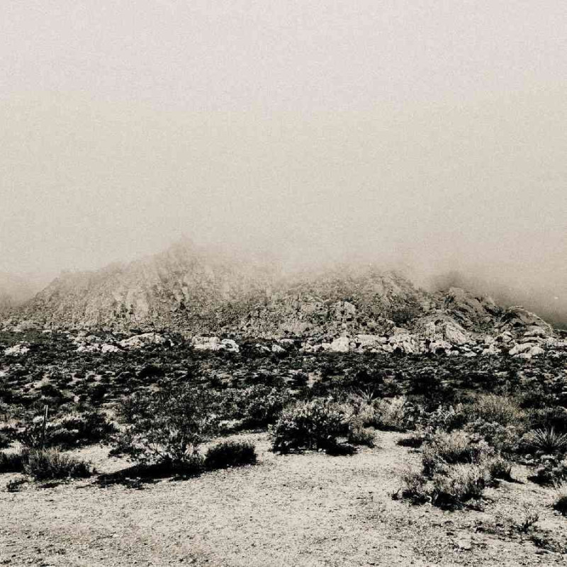 MNEMONIC: AMBIENT MOSAIC