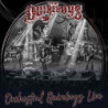 ORCHESTRAL QUIREBOYS LIVE