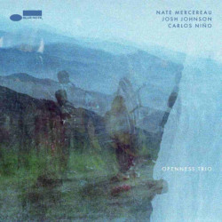 OPENNESS TRIO