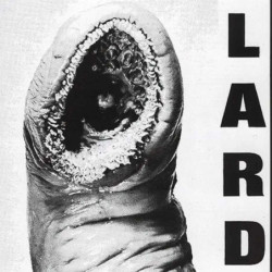 POWER OF LARD