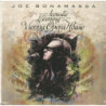 AN ACOUSTIC EVENING VIENNA OPERA-LP