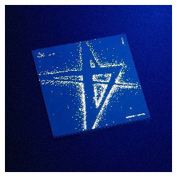 THE STAR CHAPTER: TOGETHER