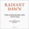 RADIANT DAWN