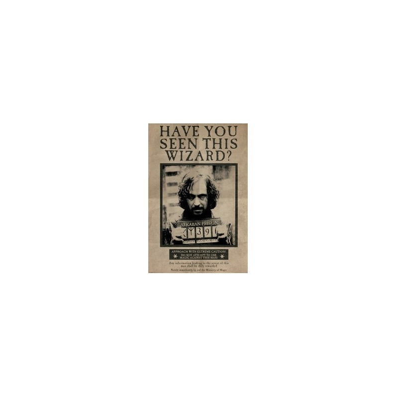 HARRY POTTER: PYRAMID - WANTED SIRIUS BLACK (POSTER MAXI 61X91,5 CM)