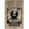 HARRY POTTER: PYRAMID - WANTED SIRIUS BLACK (POSTER MAXI 61X91,5 CM)