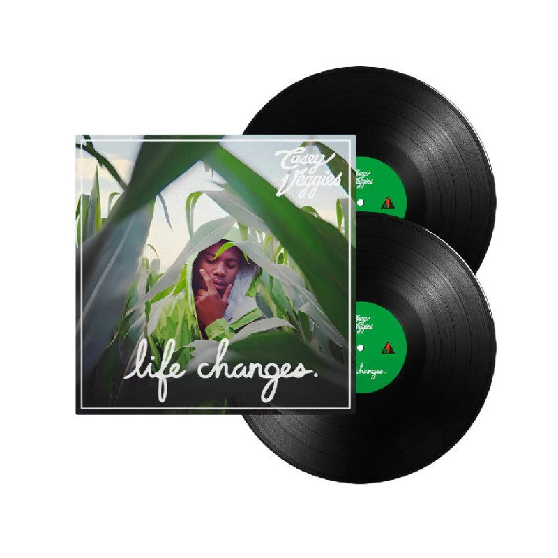 LIFE CHANGES