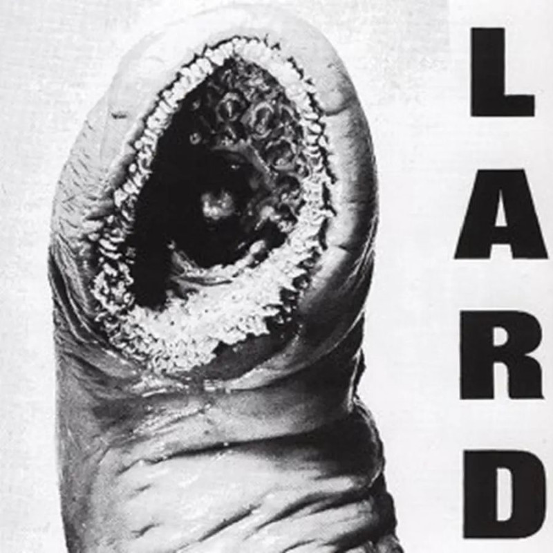 POWER OF LARD (WHITE VINYL)