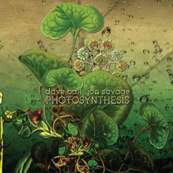 PHOTOSYNTHESIS