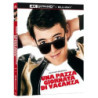UNA PAZZA GIORNATA DI VACANZA UHD+BD