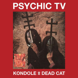 KONDOLE/DEAD CAT