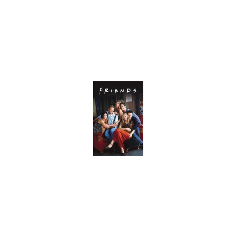 FRIENDS - CENTRAL PERK - POSTER 61 X 91CM