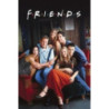 FRIENDS - CENTRAL PERK - POSTER 61 X 91CM