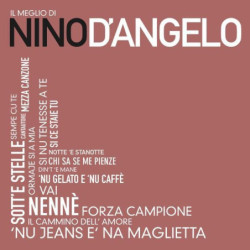 IL MEGLIO DI ...NINO D'ANGELO