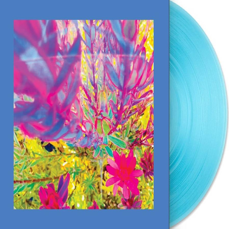 PAST IS A GARDEN I NEVER FED (SKY BLUE V