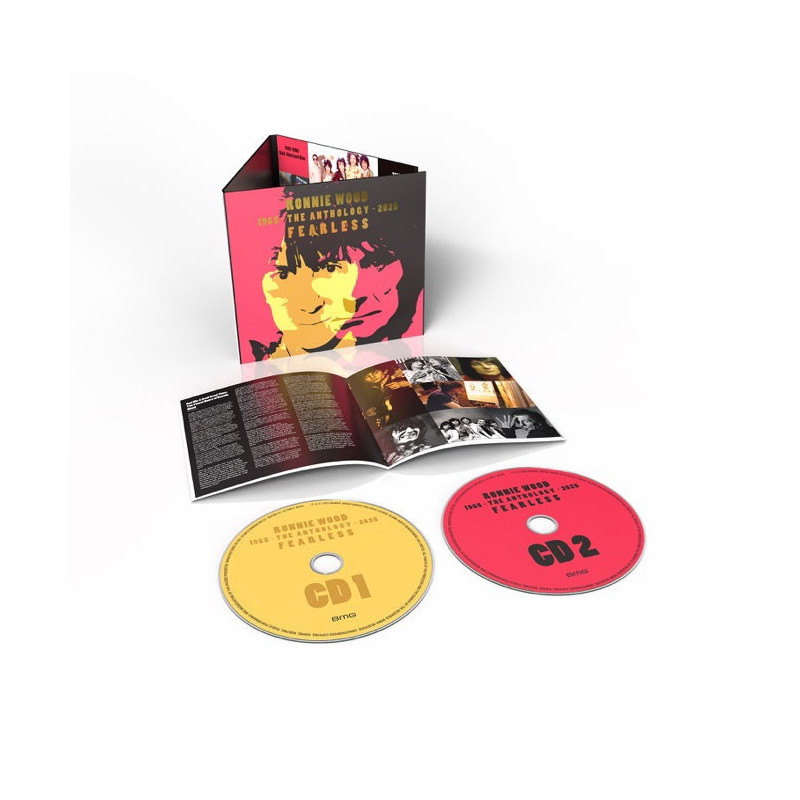 FEARLESS: ANTHOLOGY 65/25