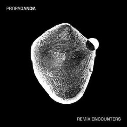 REMIX ENCOUNTERS