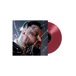 BALLADS OF THE BROKEN (LP...