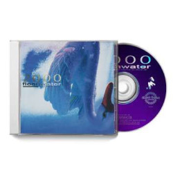 2000: IN SEARCH OF THE...