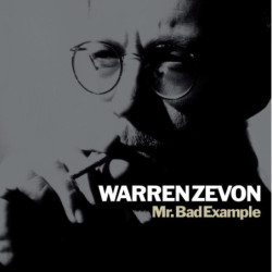 MR. BAD EXAMPLE