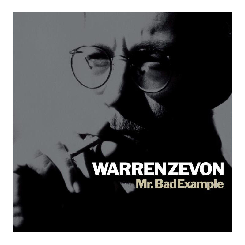 MR. BAD EXAMPLE