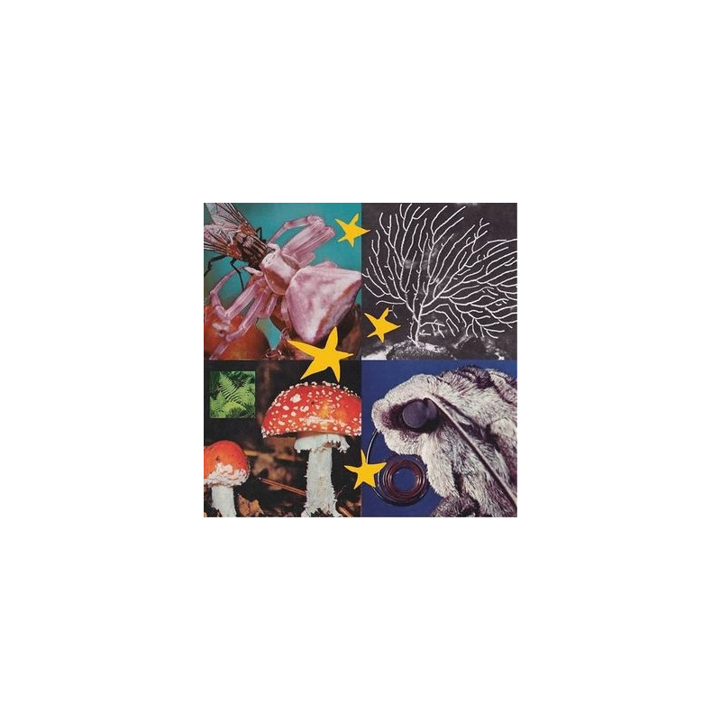 ALL THINGS CONSIDERED VOL.2