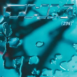(ZIN)▓