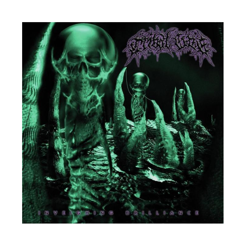 INVEIGHING BRILLIANCE