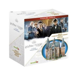 WIZARDING WORLD (BOX 11 DV)...