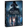 SO COSA HAI FATTO (2025) - DVD